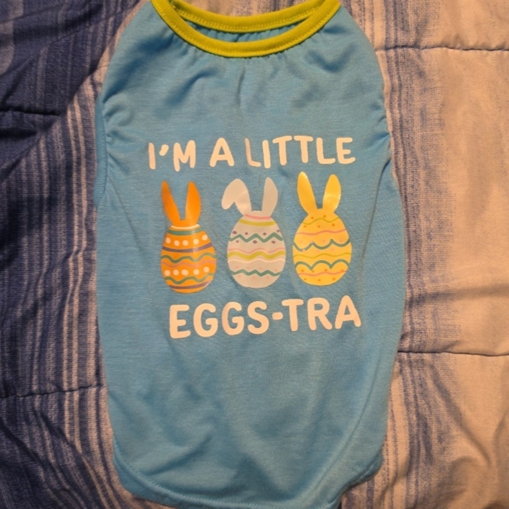 Frisco by CHEWY Blue Easter Shirt for Dogs Size Small